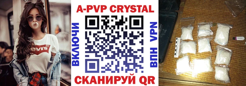 A PVP СК КРИС  Смоленск 