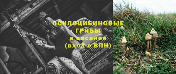 ALPHA PVP Алексеевка
