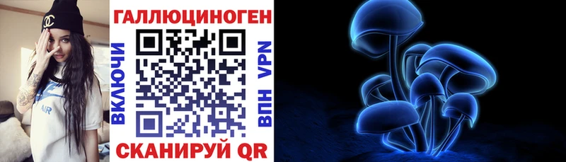 сколько стоит  Смоленск  Псилоцибиновые грибы Cubensis 